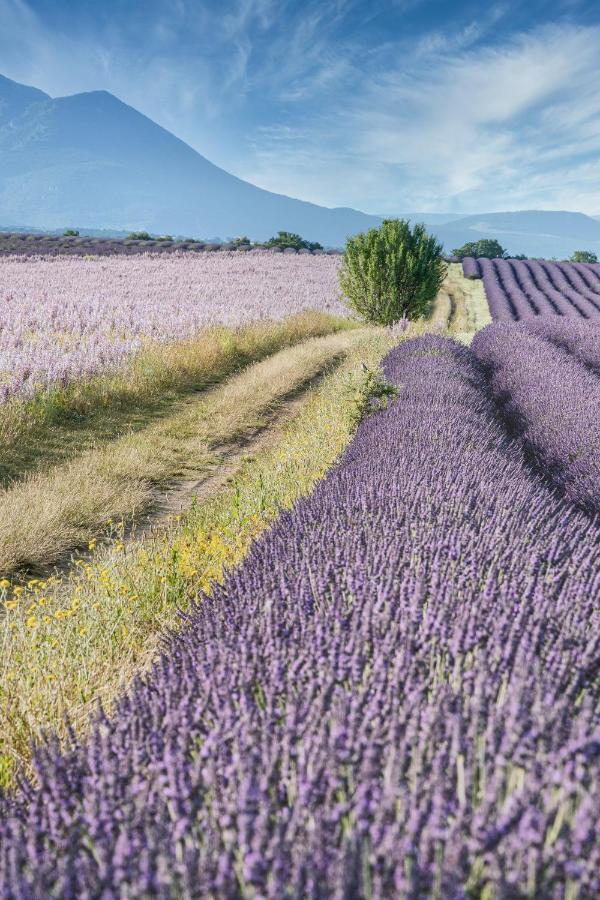 Gite Le Val Zen Valaurie - Drome Provencale Dış mekan fotoğraf